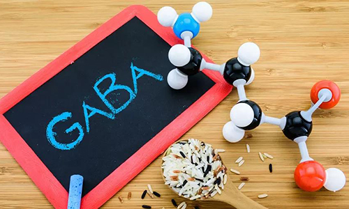 GABA圖示.jpg